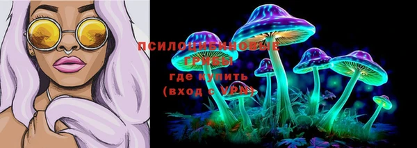 метадон Новодвинск