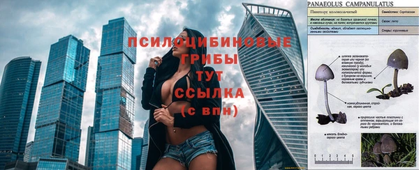 spice Новокубанск